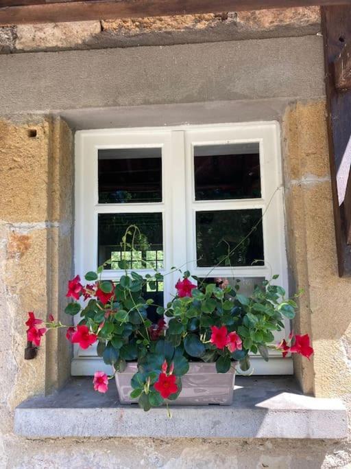 Prudhomat Vakantiehuis La Poire, Op Landgoed Aan De Dordogne מראה חיצוני תמונה